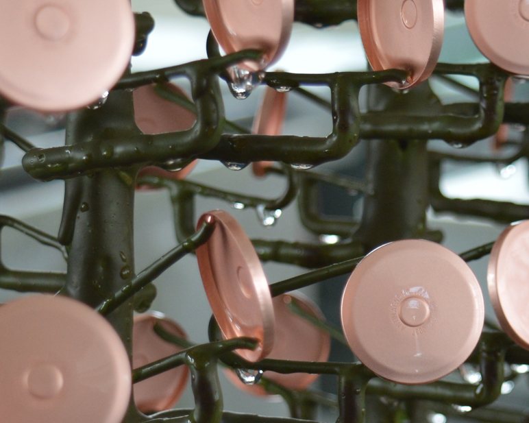 Cadrans dorés rose suspendus sur un support de traitement galvanique